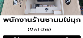 รับสมัครพนักงานร้านชานมไข่มุก OWL CHA